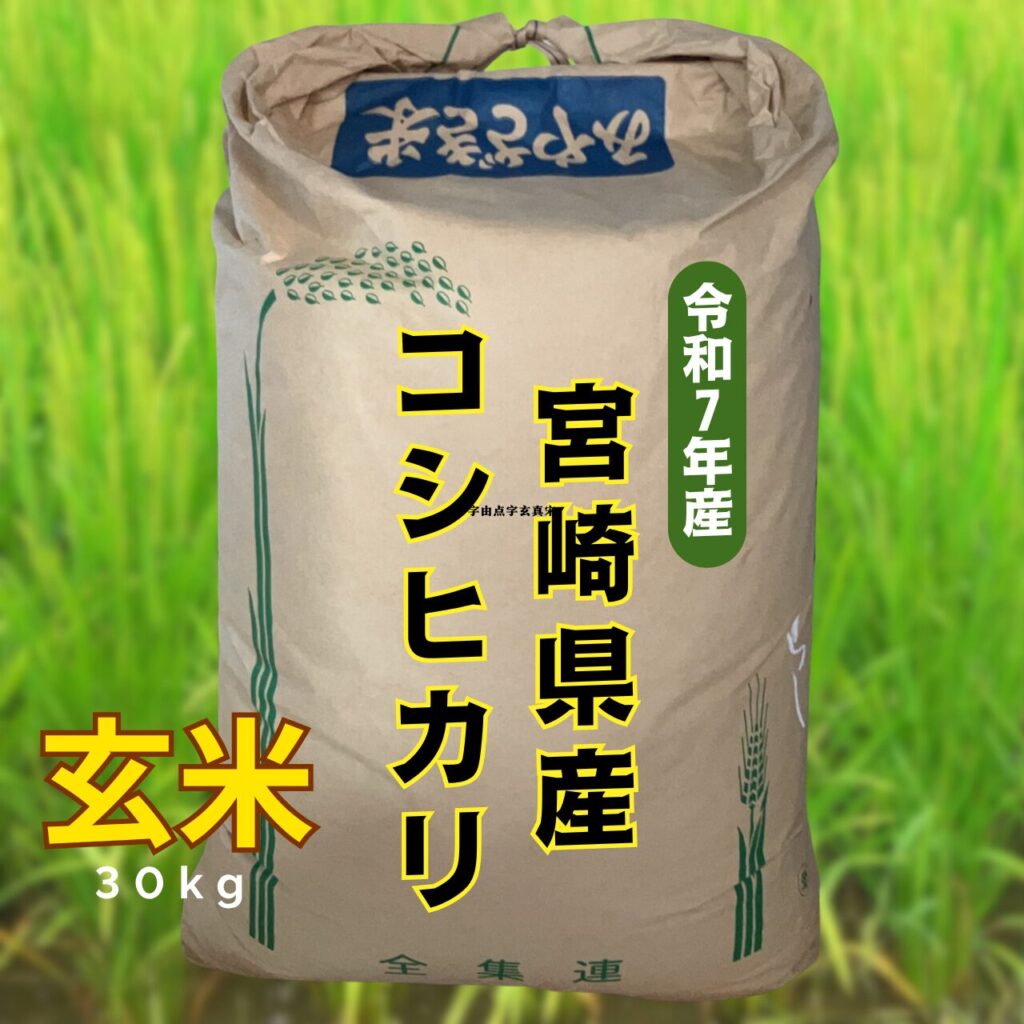 新米