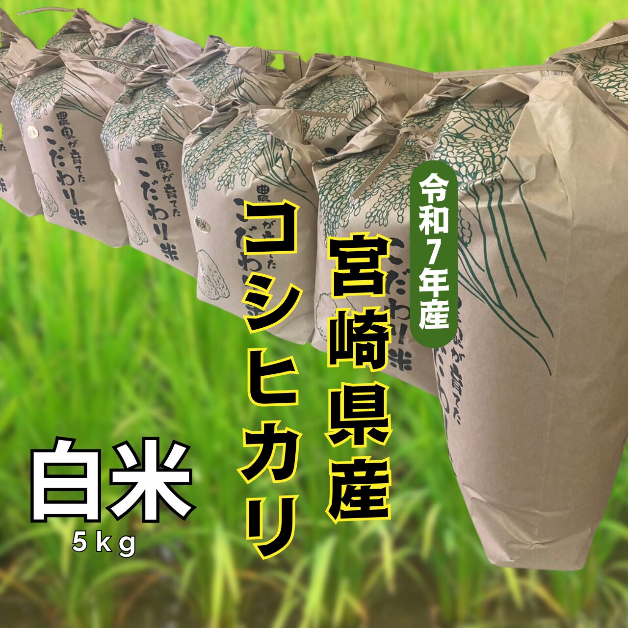 新米